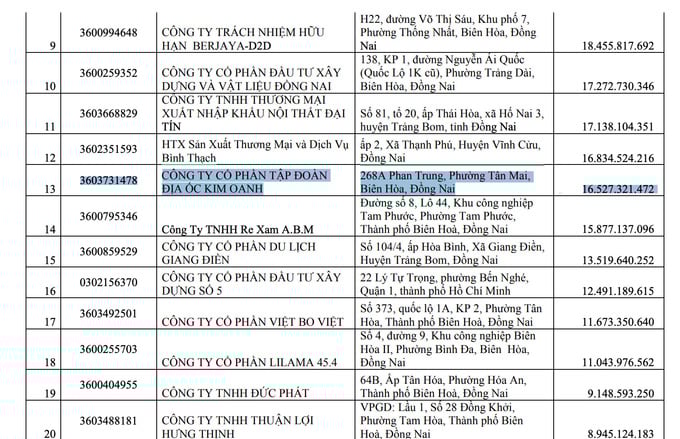 Liên tục nợ thuế, Kim Oanh Group được chấp thuận dự án nghìn tỷ - Ảnh 1