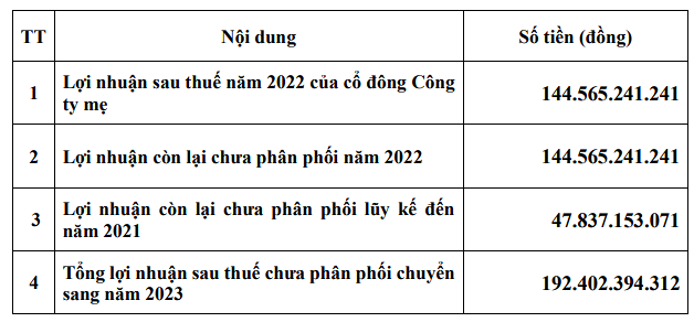Năm 2022 Tasco tr&igrave;nh phương &aacute;n kh&ocirc;ng chia cổ tức. (Nguồn: T&agrave;i liệu ĐHĐCĐ của Tasco).