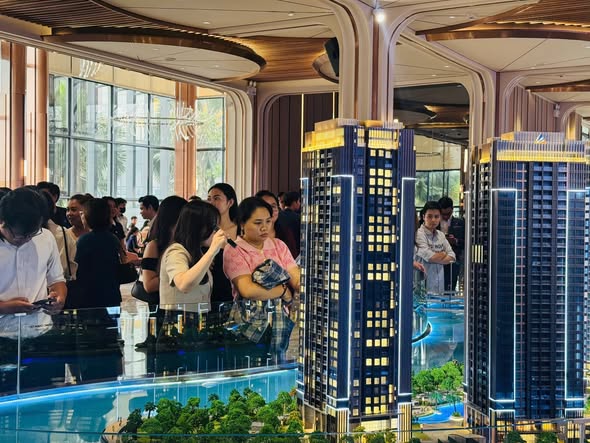 Ảnh minh họa&nbsp;