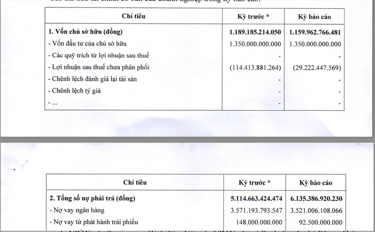 Chủ đầu tư dự án Dragon Eden: Một đồng vốn gánh năm đồng nợ - Ảnh 1