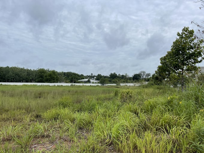 Nhiều khu vực đất b&ecirc;n trong dự &aacute;n cũng chỉ d&ugrave;ng để "trồng cỏ"