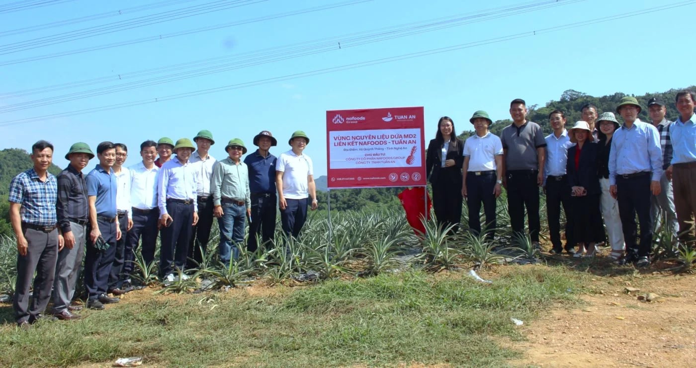 Chiến lược &ldquo;phủ xanh&rdquo; v&ugrave;ng nguy&ecirc;n liệu tại H&agrave; Tĩnh của Nafoods Group&nbsp;giữa l&uacute;c g&aacute;nh nặng nợ vay ph&igrave;nh to...