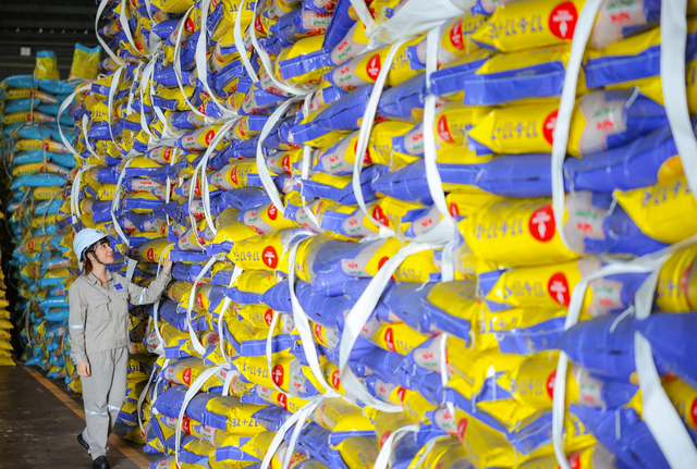 PVFCCo - Phú Mỹ (DPM): 23 năm bền bỉ mở rộng giá trị, vươn tầm quốc tế - Ảnh 1