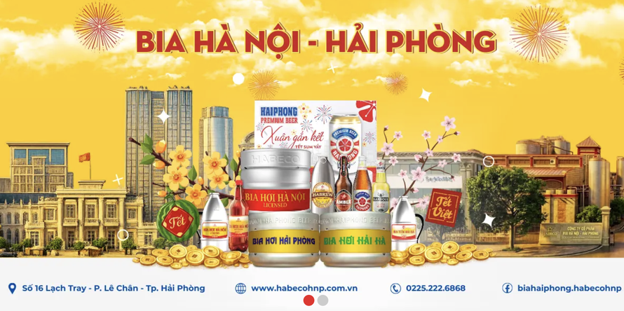 Bia Hà Nội – Hải Phòng: Tiền truy thu và chậm nộp thuế cao gấp 5,6 lần lợi nhuận sau thuế - Ảnh 1