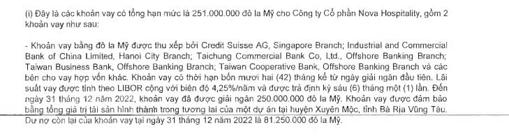 Nguồn: BCTC hợp nhất qu&yacute; 4/2022 tại Tập đo&agrave;n Novaland.
