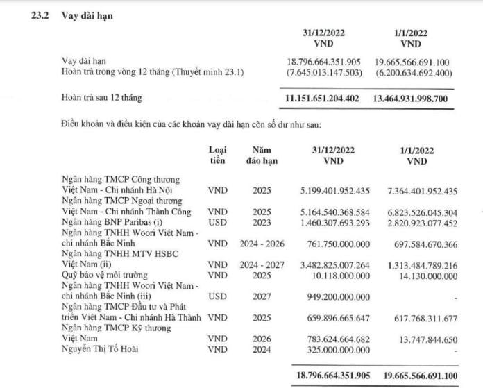 Chi tiết vay nợ tại H&ograve;a Ph&aacute;t (nguồn: BCTC hợp nhất năm 2022).