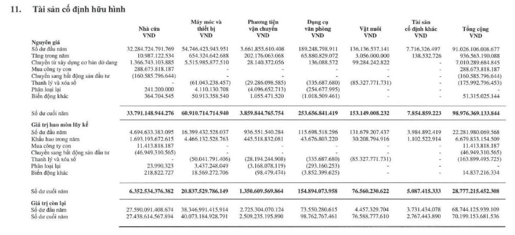 Đại gia ng&#224;nh th&#233;p H&#242;a Ph&#225;t đang thế chấp ng&#226;n h&#224;ng những t&#224;i sản g&#236;? - Ảnh 1