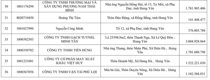 Gạch TUYNEL Minh Tân, Phương Nam Thái Bình đứng đầu nợ thuế tại Hưng Yên - Ảnh 1