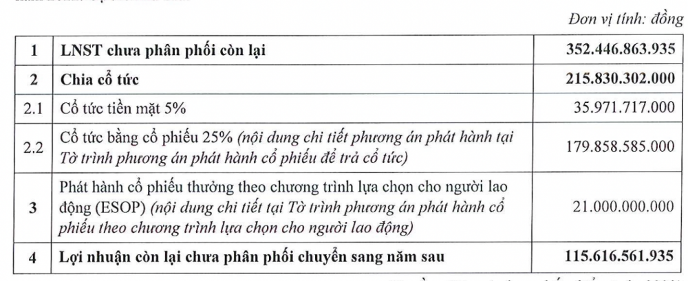Kế hoạch ph&acirc;n phối lợi nhuận năm 2022 của Haxaco. (Nguồn: T&agrave;i liệu họp ĐHĐCĐ thường ni&ecirc;n 2023 của Haxaco).&nbsp;