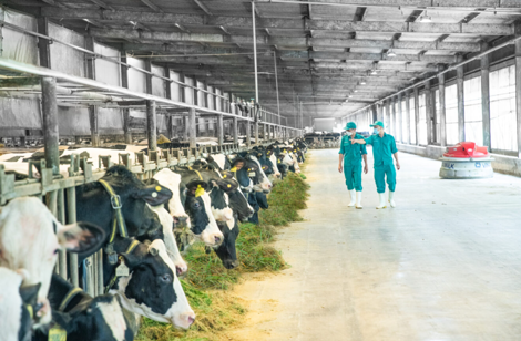 Th&ocirc;ng điệp mới cho nh&acirc;n vi&ecirc;n &ldquo;C&ugrave;ng bạn, l&agrave;m n&ecirc;n lịch sử - Care to make history, together&rdquo; tạo ấn tượng mạnh.