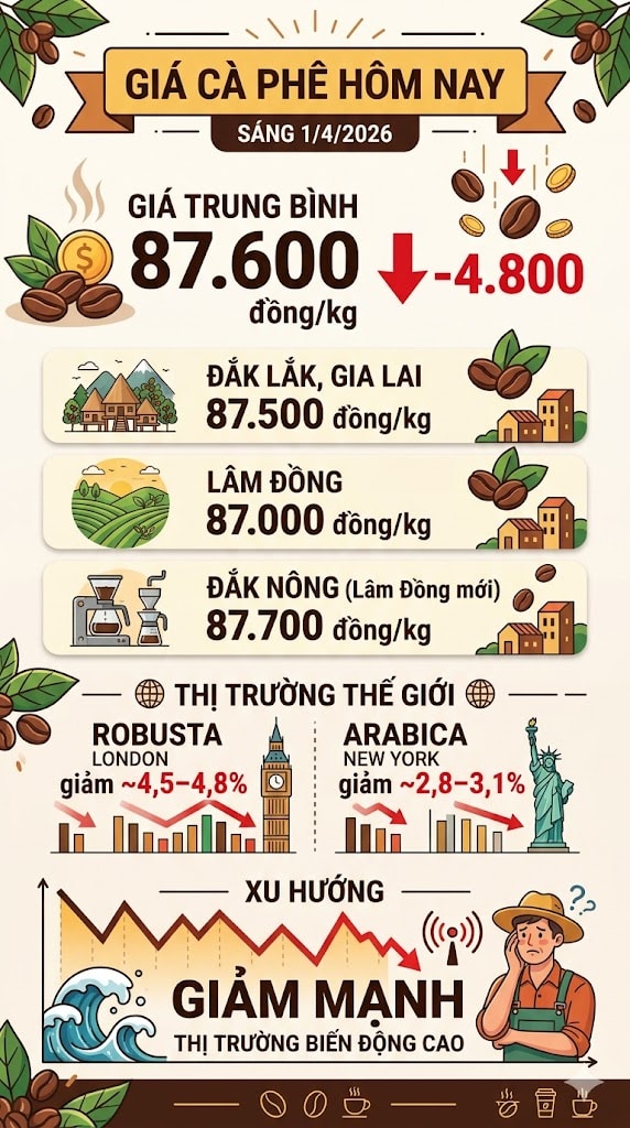 Giá cà phê hôm nay 1/4/2026: Lao dốc mạnh, mất gần 5.000 đồng/kg - Ảnh 1