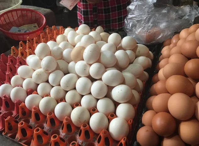 Singapore mở cửa thị trường đối với thịt v&agrave; trứng gia cầm từ Việt Nam.