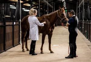 Học viện cưỡi ngựa Ho&agrave;ng Gia tại Vinhomes Royal Island được vận h&agrave;nh bởi đội ngũ chuy&ecirc;n gia d&agrave;y dạn kinh nghiệm &nbsp;