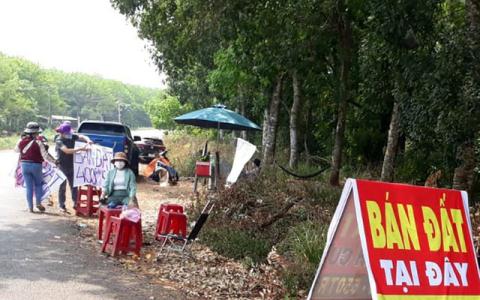 Vốn từ đ&#226;u ồ ạt chảy v&#224;o chứng kho&#225;n, bất động sản? - Ảnh 1