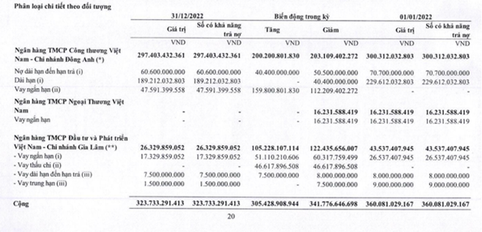 Chi tiết c&aacute;c khoản vay nợ ng&acirc;n h&agrave;ng của c&ocirc;ng ty NCS.