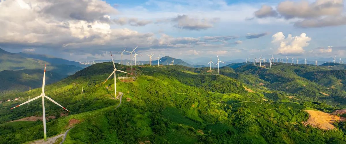 VSIP thu lãi lớn, công ty mẹ ở Singapore tiếp tục đầu tư lớn vào Việt Nam - Ảnh 4