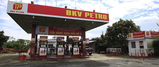 Doanh nghiệp xăng dầu B&#225;ch Khoa Việt bị cưỡng chế dừng l&#224;m thủ tục hải quan v&#236; nợ thuế - Ảnh 1