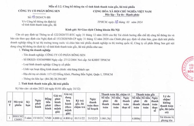 Cận cảnh chuỗi bất động sản sở hữu vị tr&#237; v&#224;ng ở Tp.HCM của B&#244;ng Sen - Ảnh 1