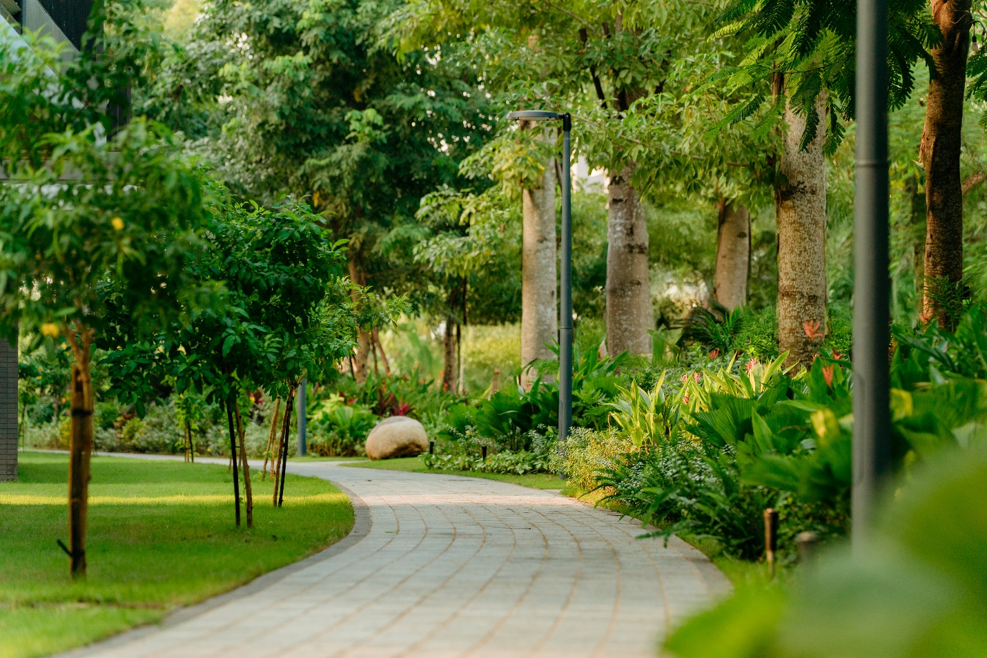 Cung đường dạo bộ 5 gi&aacute;c quan