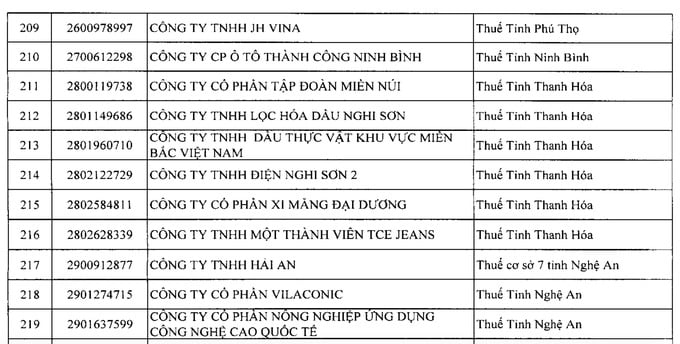 Thua lỗ nhiều năm, Hyundai Ninh Bình vào diện kiểm tra thuế - Ảnh 1