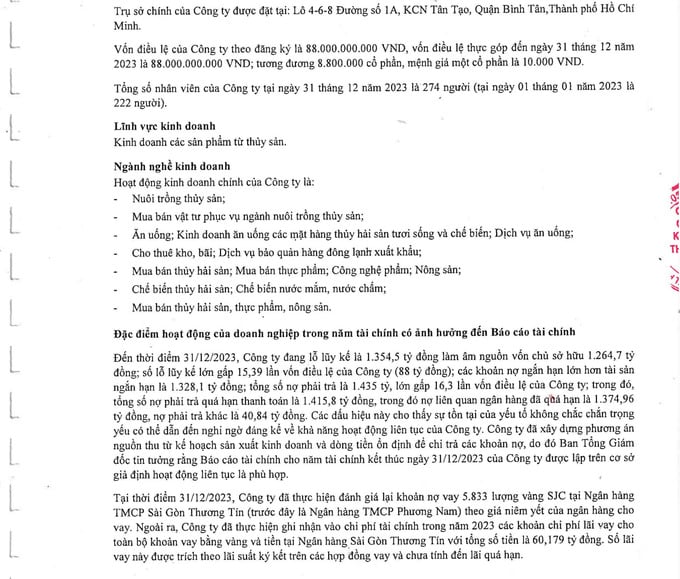 Công ty APT vay gần 6.000 lượng vàng của Sacombank ngày nào trả? - Ảnh 1