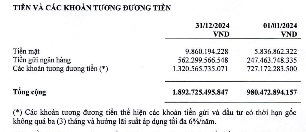 DNP Holding: Nh&#224; thầu lớn vay nợ h&#224;ng ngh&#236;n tỷ d&#249; dư tiền mặt - Ảnh 1