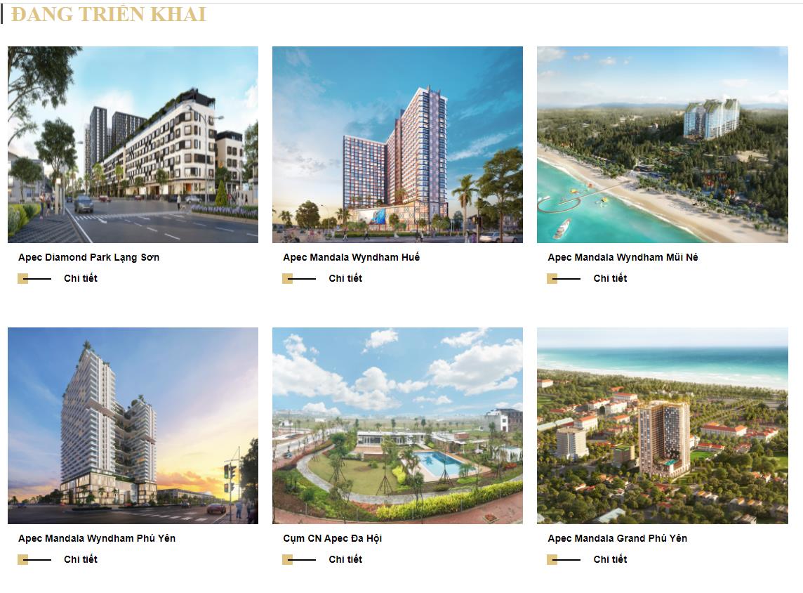 Li&#234;n tục th&#226;u t&#243;m quỹ đất v&#224; triển khai h&#224;ng loạt dự &#225;n, tiềm lực t&#224;i ch&#237;nh của Apec Group &#39;khủng&#39; thế n&#224;o? - Ảnh 1