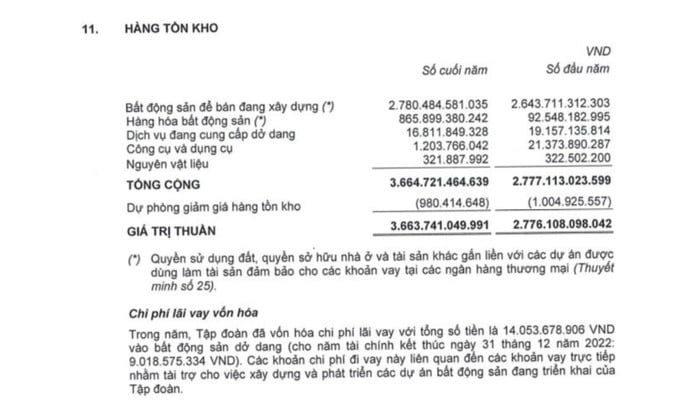 TTC Land: Kinh doanh lao dốc dùng nhiều tài sản để vay tài chính - Ảnh 1