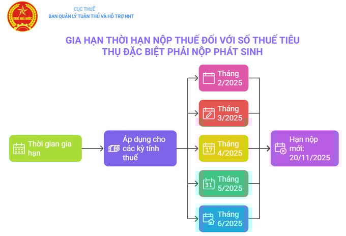 Hướng dẫn gia hạn nộp thuế ti&#234;u thụ đặc biệt với &#244;t&#244; sản xuất v&#224; lắp r&#225;p trong nước - Ảnh 2