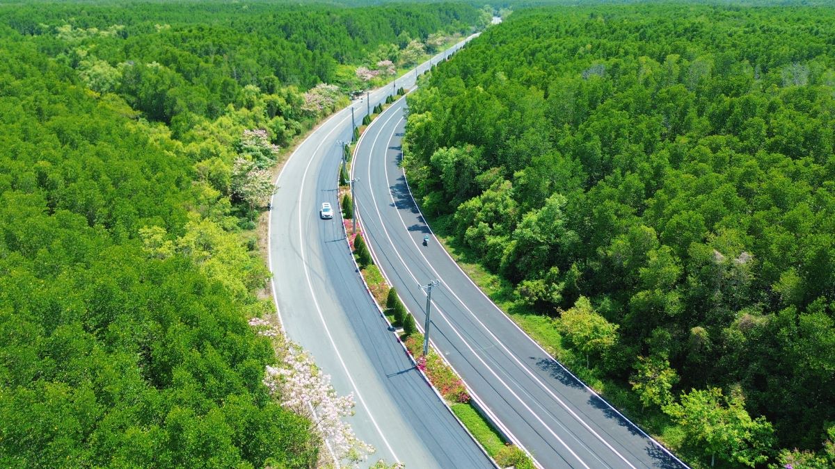 Sắc xanh phủ k&iacute;n cung đường chạy VnExpress Marathon Green Paradise Cần Giờ 2026