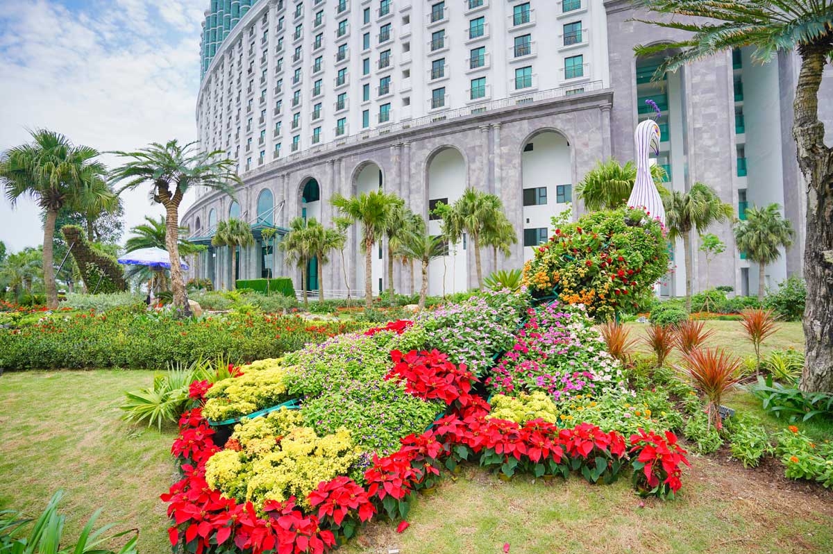 Ng&#224;n hoa khoe sắc tr&#234;n đồi cao tại Hạ Long thu h&#250;t du kh&#225;ch dịp 30/4 - Ảnh 3