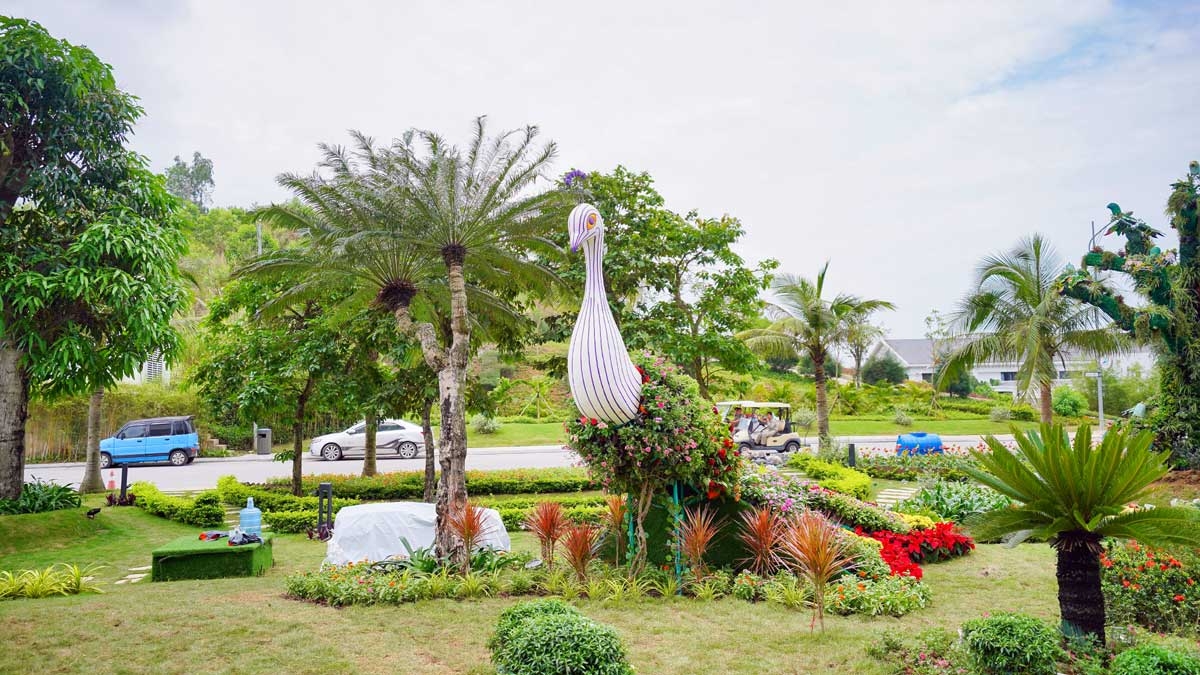 Ng&#224;n hoa khoe sắc tr&#234;n đồi cao tại Hạ Long thu h&#250;t du kh&#225;ch dịp 30/4 - Ảnh 5