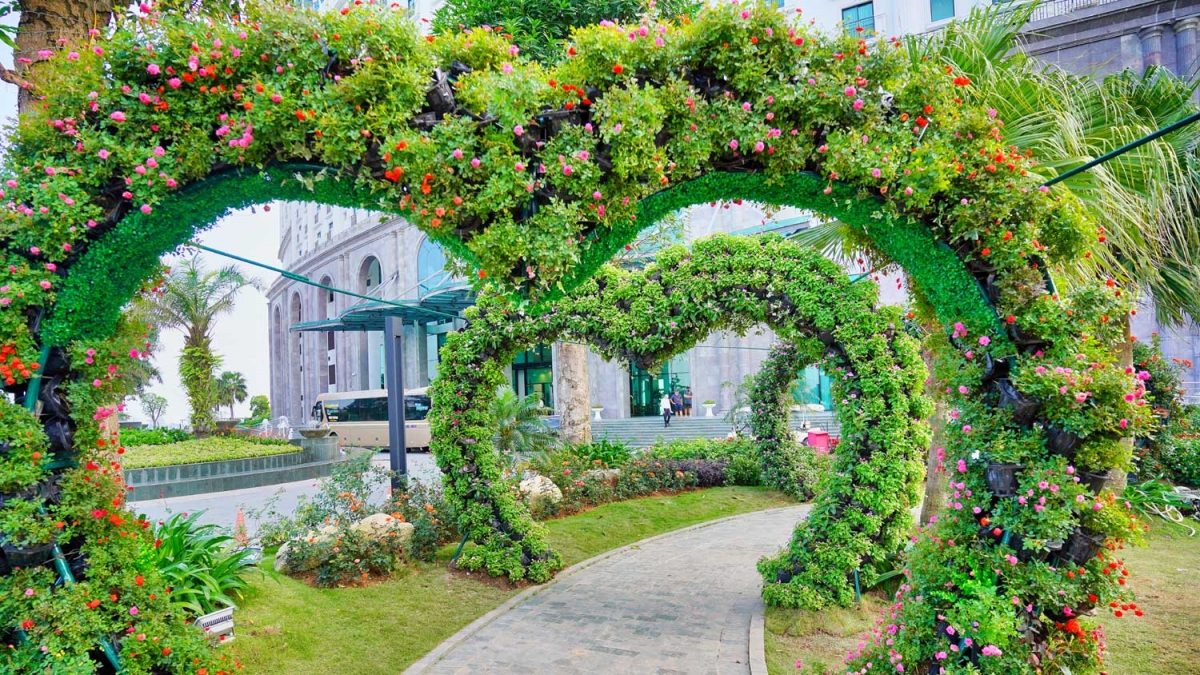 Ng&#224;n hoa khoe sắc tr&#234;n đồi cao tại Hạ Long thu h&#250;t du kh&#225;ch dịp 30/4 - Ảnh 7