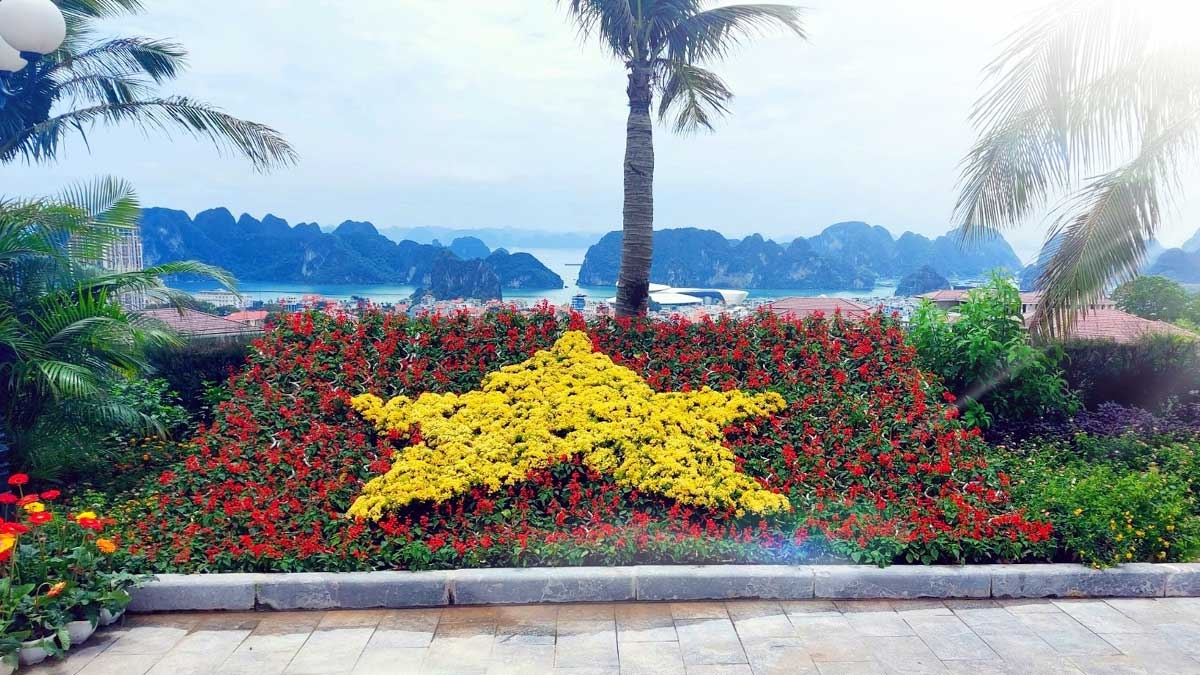 Ng&#224;n hoa khoe sắc tr&#234;n đồi cao tại Hạ Long thu h&#250;t du kh&#225;ch dịp 30/4 - Ảnh 9