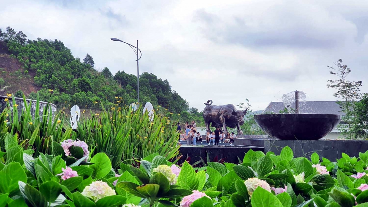 Ng&#224;n hoa khoe sắc tr&#234;n đồi cao tại Hạ Long thu h&#250;t du kh&#225;ch dịp 30/4 - Ảnh 10