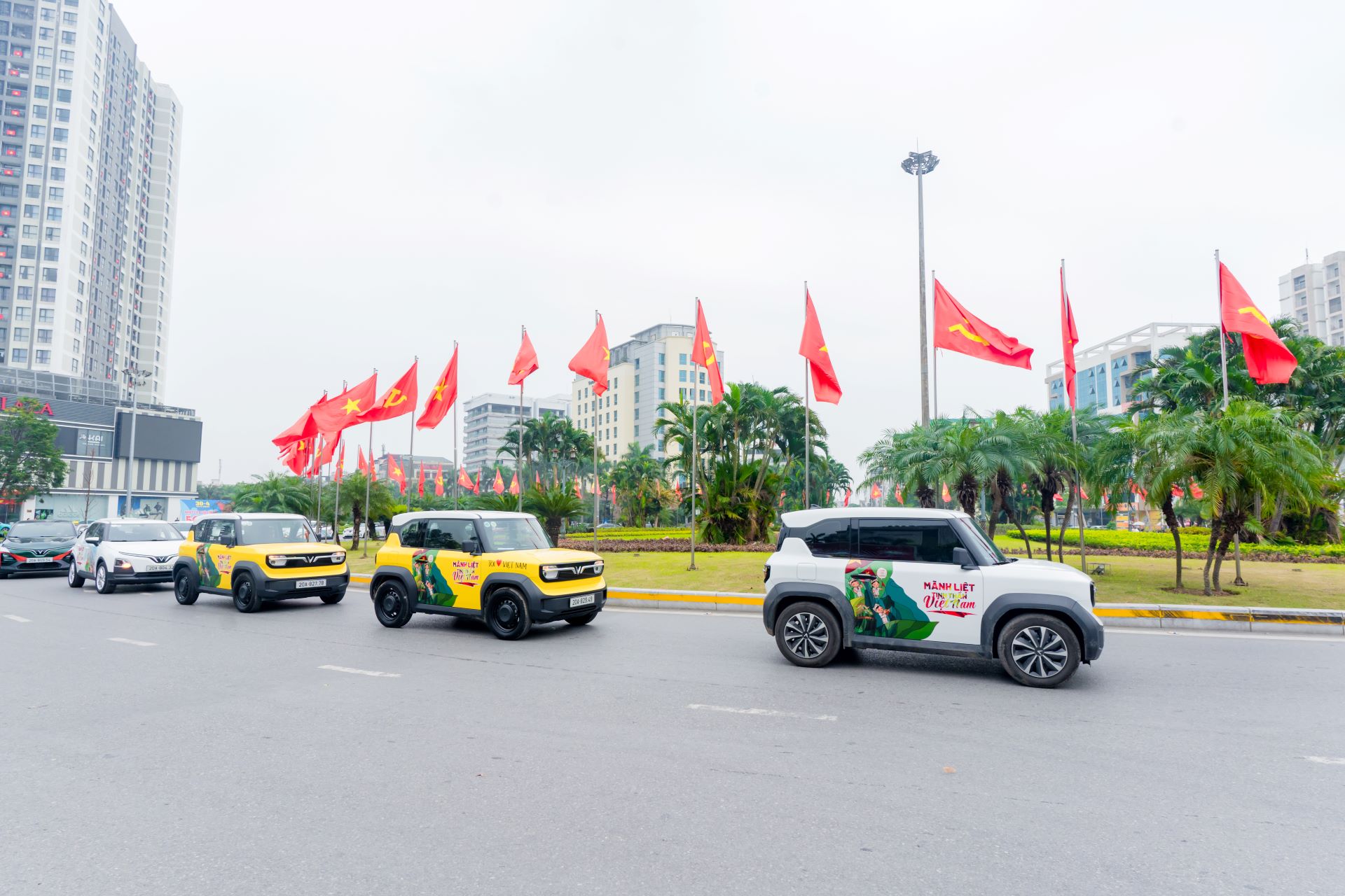 'Phủ Xanh, Sống Chất' rầm rộ khắp 30 tỉnh thành, hàng nghìn người hào hứng trải nghiệm xe điện VinFast - Ảnh 6