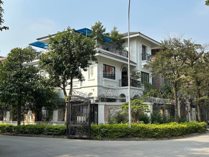 Gi&#225; biệt thự, nh&#224; phố ở Tp. HCM vượt 400 triệu đồng/m2 - Ảnh 1