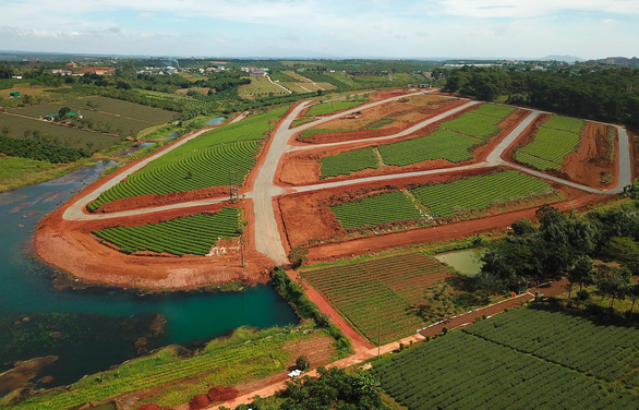 Đồi ch&egrave; tuyệt đẹp tại th&ocirc;n 12 (x&atilde; Đam B&rsquo;ri, Tp.Bảo Lộc) cạnh hồ nước v&agrave; rừng th&ocirc;ng đ&atilde; c&oacute; đường nhựa b&ecirc;n trong d&ugrave; chưa được cấp ph&eacute;p l&agrave;m đường - Ảnh: M.VINH