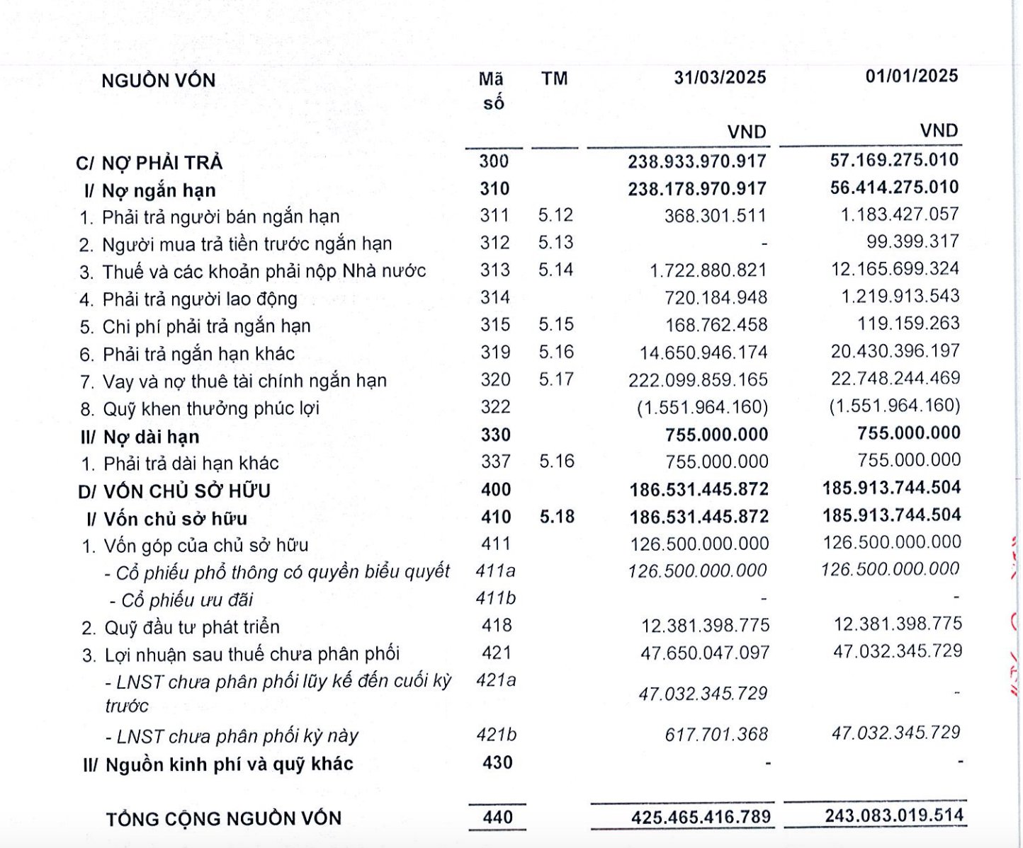 B&aacute;o c&aacute;o t&agrave;i ch&iacute;nh qu&yacute; I/2025.