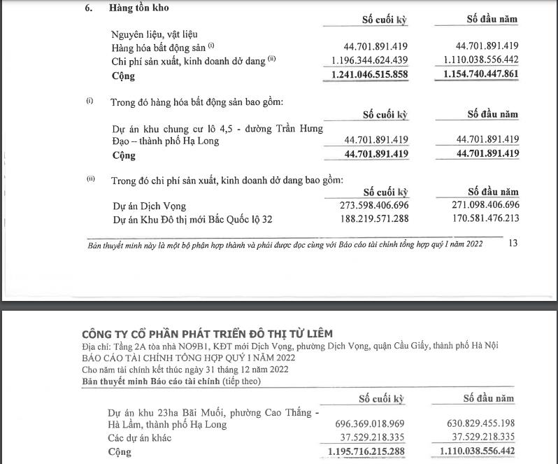 NTL tổn kho hơn 1.195 tỷ đồng cuối qu&yacute; 1/2022.