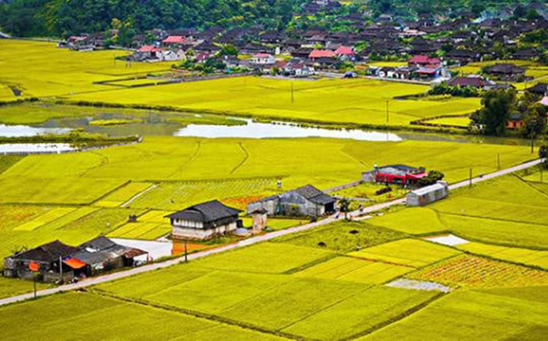 Thủ tục x&#226;y nh&#224; tr&#234;n đất n&#244;ng nghiệp theo quy định mới nhất - Ảnh 1