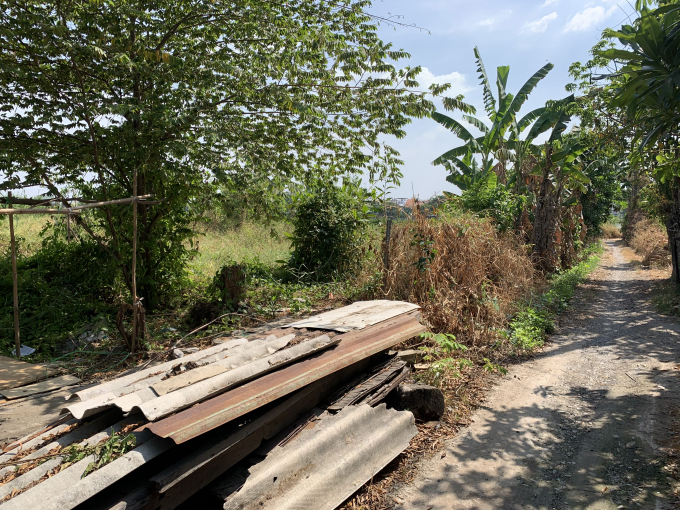 Người d&acirc;n sống trong nỗi lo sợ với tệ nạn ch&aacute;y nổ khi cỏ dại mọc cao bị kh&ocirc; trong khu bỏ hoang.