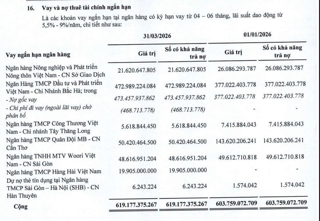 B&aacute;o c&aacute;o t&agrave;i ch&iacute;nh qu&yacute; I/2026