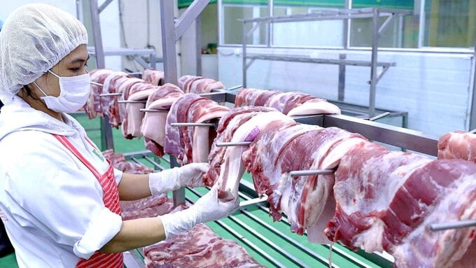 Dabaco ch&#224;o b&#225;n cổ phiếu để thu về hơn 1.300 tỷ đồng - Ảnh 1