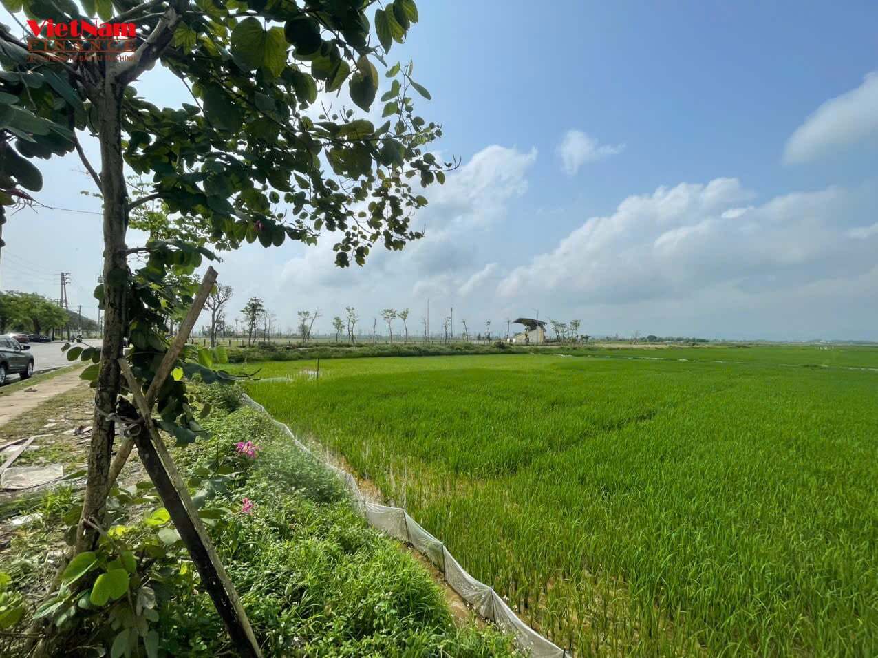 Dự &aacute;n Khu đ&ocirc; thị mới tại thị trấn Ngh&egrave;n được quy hoạch tr&ecirc;n diện t&iacute;ch hơn 40ha, phần lớn l&agrave; đất n&ocirc;ng nghiệp (đất 2 l&uacute;a) tại khu vực trung t&acirc;m thị trấn Ngh&egrave;n.