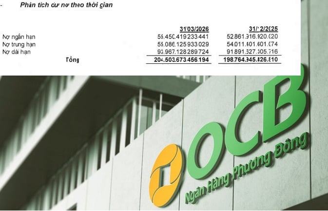 Trong cơ cấu t&iacute;n dụng, nợ d&agrave;i hạn tiếp tục chiếm tỷ trọng lớn nhất với gần 94.000 tỷ đồng, trong khi dư nợ ngắn hạn v&agrave; trung hạn lần lượt đạt khoảng 55.450 tỷ đồng v&agrave; 55.086 tỷ đồng.