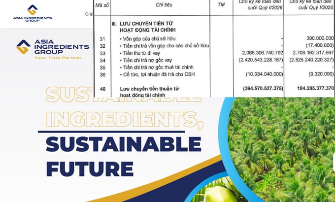Nguy&ecirc;n liệu &Aacute; Ch&acirc;u chi hơn 2.400 tỷ đồng trả nợ vay.
