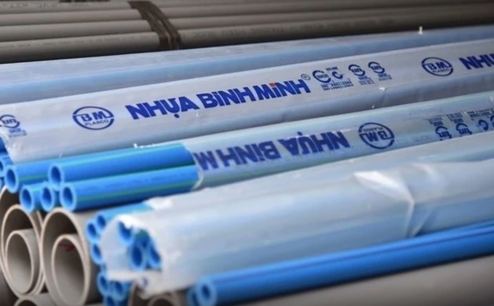 Hai ‘ông lớn’ ngành nhựa chi trăm tỷ cổ tức giữa áp lực chi phí tăng cao - Ảnh 2