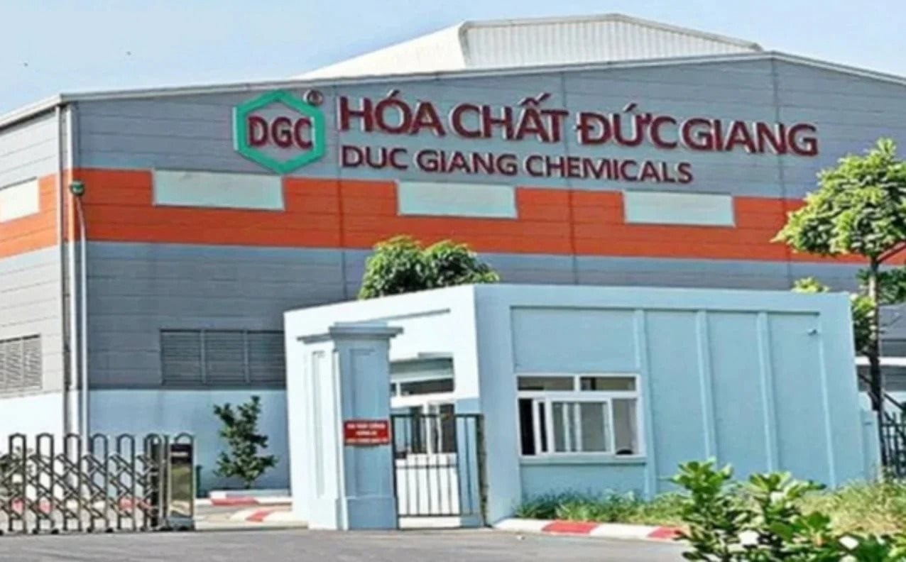 DGC gấp rút hoàn tất báo cáo kiểm toán để 'giải cứu' cổ phiếu khỏi diện kiểm soát - Ảnh 1