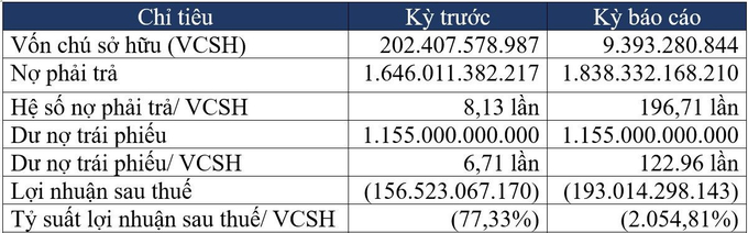 Chỉ ti&ecirc;u t&agrave;i ch&iacute;nh C&ocirc;ng ty Cổ phần Đầu tư Revital Việt Nam. Ảnh: Kinh tế Chứng kho&aacute;n